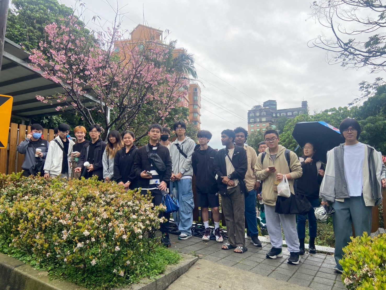 在地住居融合_賞櫻春遊健行活動